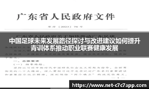 中国足球未来发展路径探讨与改进建议如何提升青训体系推动职业联赛健康发展