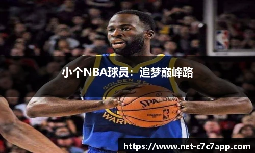 小个NBA球员：追梦巅峰路