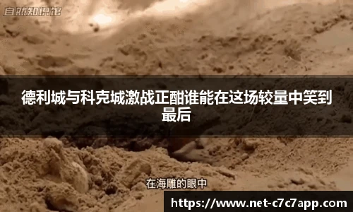 德利城与科克城激战正酣谁能在这场较量中笑到最后